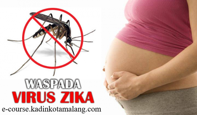 Virus Zika pada Wanita Hamil Mengapa Penting